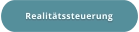 Realitätssteuerung