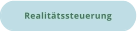 Realitätssteuerung