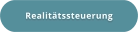 Realitätssteuerung